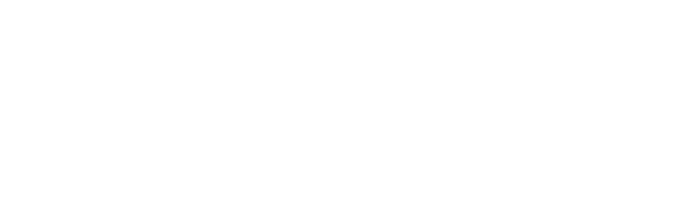 Visual Sweden Logo